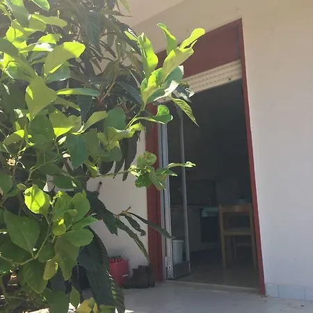 Holiday home Lemon Tree *