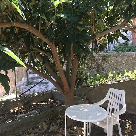 Lemon Tree Holiday home *